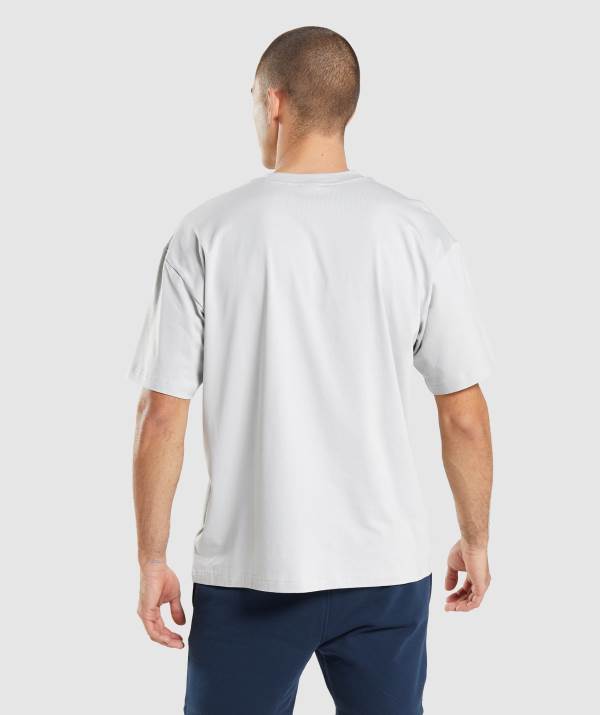 Panske Tricka Gymshark Essential Oversized Svetlo Siva | JR6309518
